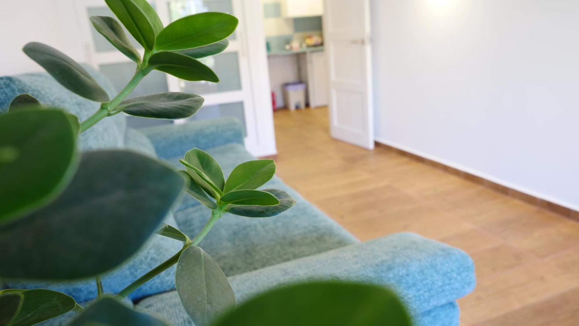 Tuerkiz Kanaan Apartman Пуерто-де-Сантьяго Екстер'єр фото